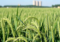 农业土地使用权流转管理办法