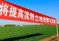 土地流转新政策最新消息公布