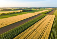土地流转合同协议最多签几年有效