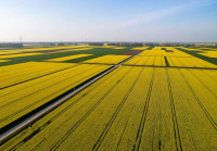 土地流转新办法最新