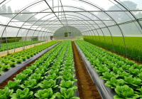 土地流转实例简介