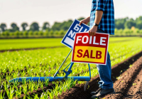 土地流转怎么赚钱