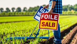 土地流转怎么赚钱