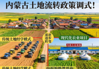 内蒙古土地流转政策有什么变化