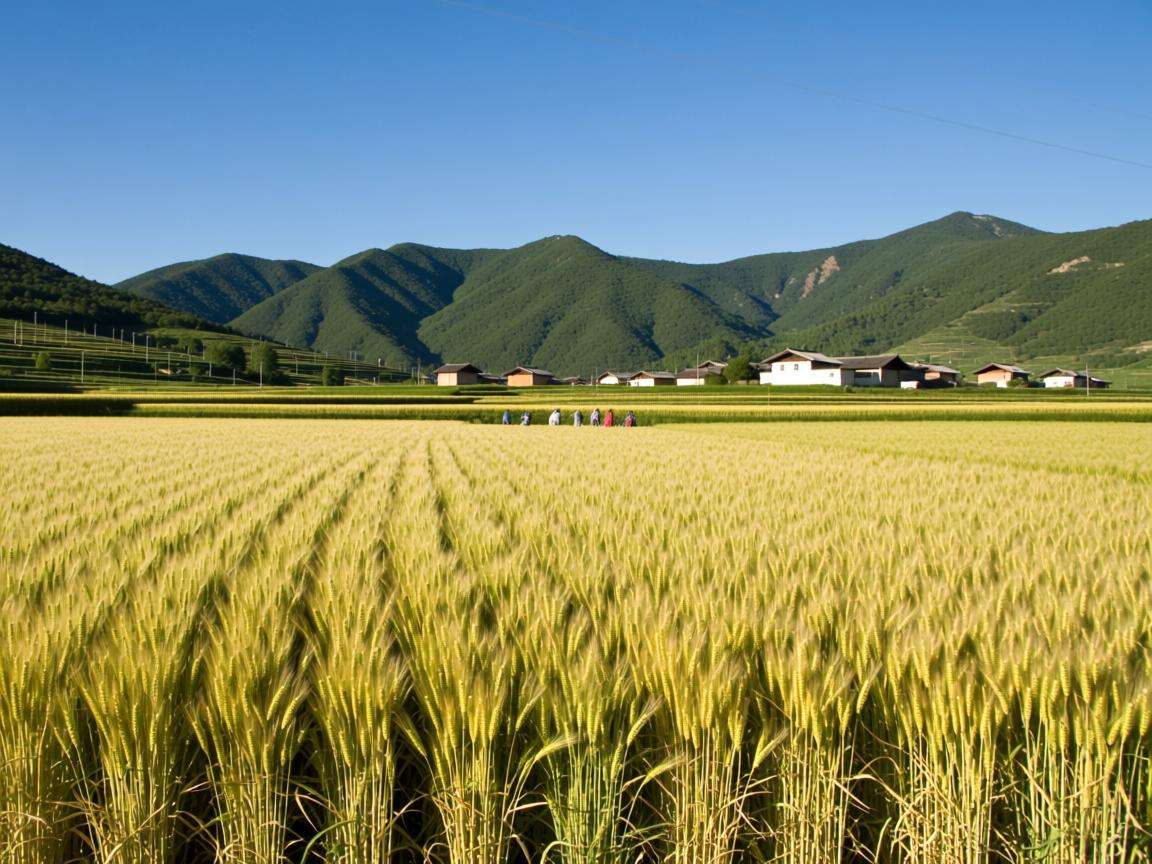 土地流转文章怎么写