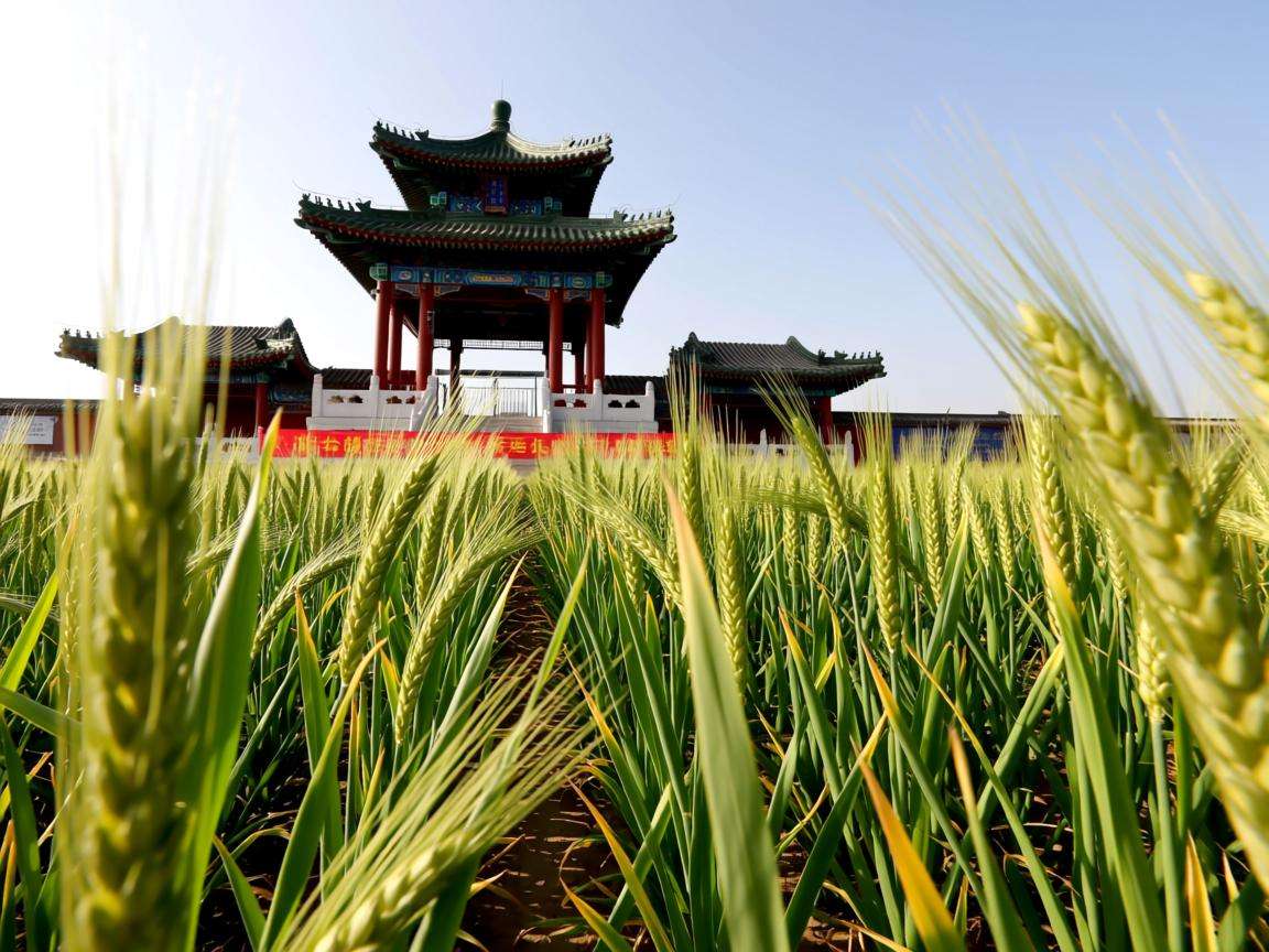 北京市农村耕地最新土地流转政策规定