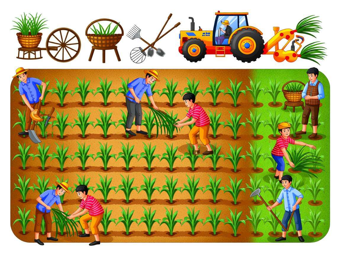 承包土地如何流转